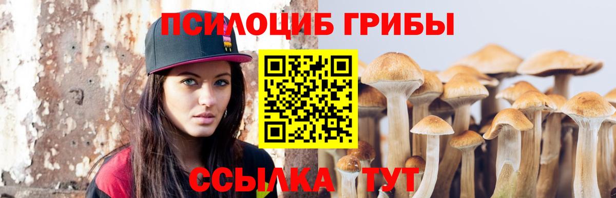 Купить закладку  Меф кристаллы  Кокаин  ГАШИШ  Вход с VPN  Кострома  A PVP СОЛЬ кристаллы  Каннабис  Мефедрон 