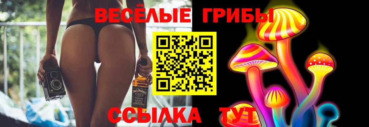 Псилоцибиновые грибы Psilocybe  Галлюциногенные грибы Psilocybe  Вход с VPN  Кострома 